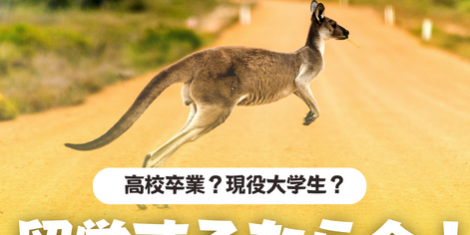 オーストラリア　留学　高校卒業　大学生　大学　SOL留学